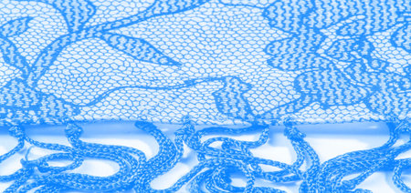 Light blue silk fabric with lace pattern. This elastic lace trim adds softness to everything!...