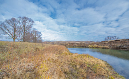 Autumn winter landscape, november. The end of the month. A sad, gloomy season, nature is waiting for...