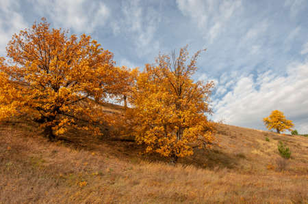 Fall. Autumn reflections. A serene setting with vibrant color choices of autumnal charm. Great dreamy decor. Colorful forest large art decorations.の写真素材
