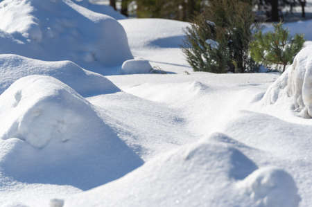 Beautiful Snow texture. It consists of frozen crystalline water throughout its entire life cycle, starting from the moment when, under suitable conditions, ice crystals form in the atmosphere,の写真素材