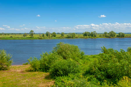 Summer landscape, river floodplain, picturesque shores, bright green grass with wild wildflowers, blue sky with white clouds, summer tender warm days,の写真素材