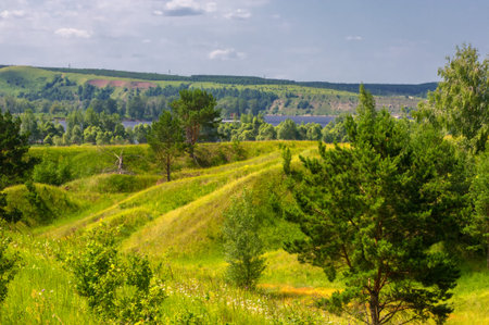 Summer landscape, river floodplain, picturesque shores, bright green grass with wild wildflowers,...