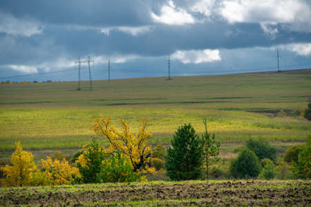 Autumn landscape photo. Flat flora of Europe. Meadows, ravines, thickets, open deciduous or mixed forest. Meadows in Septemberの写真素材