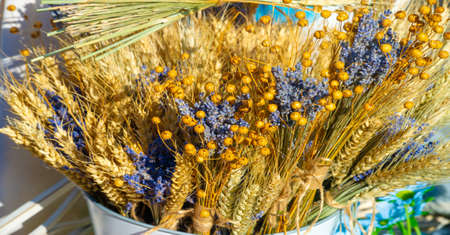 Texture, background, pattern, folk art. Dry herbs leaves twigs grain flowersの写真素材