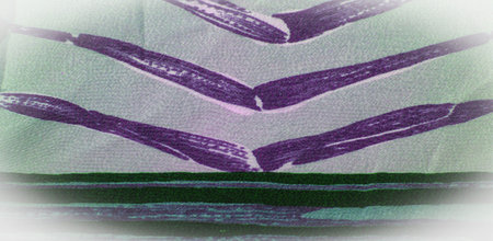 Elegant satin silk luxury fabric, abstract background design. texture. background. template