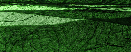 Texture. Background. Background. Dark green luxury shiny fabric texture, this is an abstract silk...