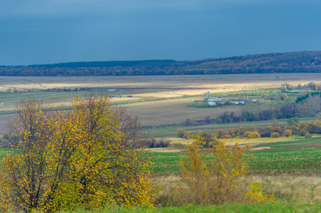 These autumn photos are beautiful! Wonderful little cards to send on Thanksgiving or the fall...