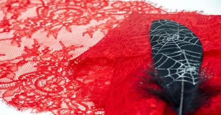 lace fabric. bird feather. lace color red on a white background. Texture, pattern. When it's time to choose the right pattern for your needs, you can count on my textures.の写真素材