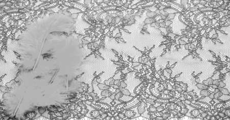 Black lace fabric on a white background. Fancy African polyester and tulle lace fabric with flowers for your design. Texture. Background. Templateの写真素材