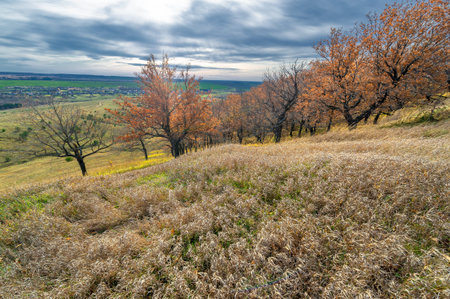 Walk in the autumn forest. Autumn colors. Melancholy. Autumn mood, - Stock Image Autumn landscape...