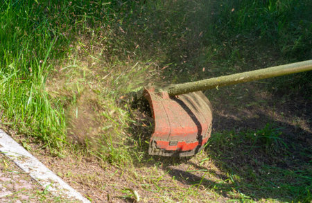 The process of mowing a lawn with a hand mower. A worker mows tall grass with an electric or...