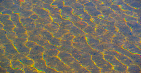 Sunlight in the pool. Ripples in the water. Although direct sunlight increases the need for chlorine...