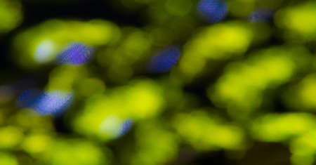 Blurred image of light from colored stones. Passers-by on the city street at night. Blurred background. Design element. Book cover. Social networks. Web design. Announcement.の写真素材