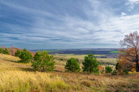 The vibrant fall colors of the forest are shown favorably in this digital illustration. The gorgeous colors of birch, maple and oak were breathtaking!の写真素材