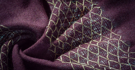 Brown woolen fabric, cape. Shawl with woolen threads on the fabric This wool print shawl was created especially for the modern woman who knows her mind Pair this stunning stole with a western suitの写真素材