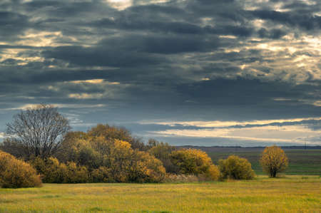 lAutumn is the perfect time to spend time outdoors and recharge. These trees are very old and have been on this path for years, such a beautiful sight and so much texture on the bark,の写真素材
