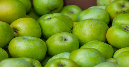 Ripe apple on a tree in an orchard. Food products