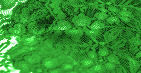 Green lace. This stunning and sophisticated fabric will be a true work of art. Intense green with...
