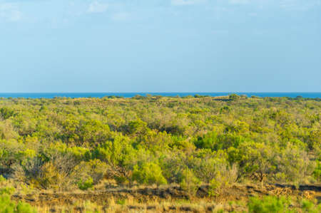 prairie, veld, veldt Forestless steppe, poor in moisture, with herbaceous vegetation in a dry climate zone. Prairie plants are adapted to permanent burns, developing powerful underground structuresの写真素材