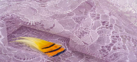 Pink lace fabric on a white background. Our collection of lace fabrics, delightfully embroidered pieces, vintage pieces are sure to excite and awaken the lace-loving fashionistas inside you.の写真素材