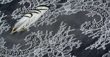 White lace fabric on a black background. Our collection of lace fabrics, delightfully embroidered pieces, vintage pieces are sure to excite and awaken the lace-loving fashionistas inside you.の写真素材