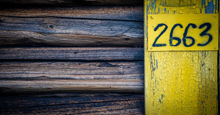 Dry texture of old wood. High resolution backgrounds and patterns. Weathered wood.