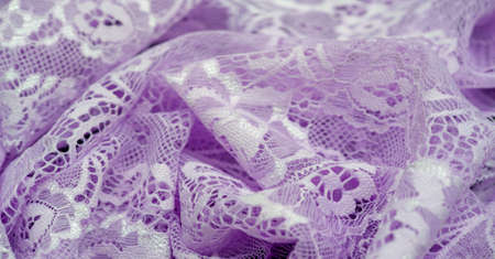 Pale pink charming lace and floral ornament. This stunning pale pink lace sorceress is perfect for your design and any other special occasion. Exclusive vintage designer fashionの写真素材