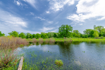 Spring landscape. background with nature, forest river, background for your design, After a long cold winter, it's nice to have more hours of sunshine and warmer weather.の写真素材