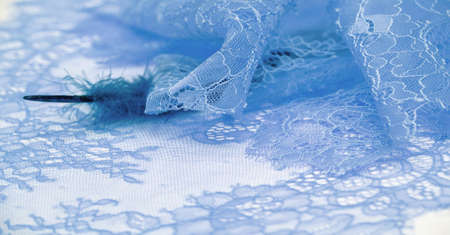 lace fabric. bird feather. blue color on a white background. Delicately crafted from yarn or thread, lace fabrics have historically embodied class and beauty since their inception in the 16th century.の写真素材
