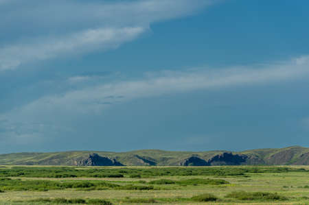 prairie, veld, veldt Forestless steppe, poor in moisture, with herbaceous vegetation in a dry climate zone. Prairie plants are adapted to permanent burns, developing powerful underground structuresの写真素材