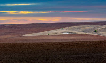 in late autumn, alone standing trees against the backdrop of the sunset sky. Grunge texture backgroundの写真素材