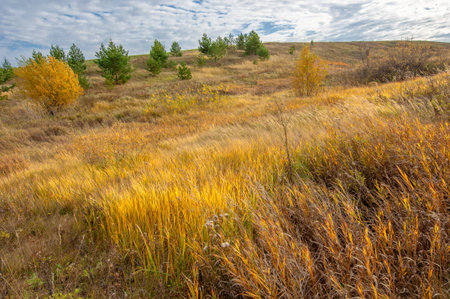 lAutumn is the perfect time to spend time outdoors and recharge. These trees are very old and have...