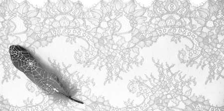 lace fabric. bird feather. white on a white background. Delicately crafted from yarn or thread, lace fabrics have historically embodied class and beauty since their inception in the 16th century.の写真素材