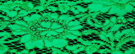 Texture, background, pattern, green lace fabric, Tender embossed lace fabric, scalloped on both edges. Suitable for your projects, design, etc.の写真素材