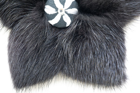Fur of a wild beast. Feminine decoration. it is a thick hairline covering the skin of many animals....