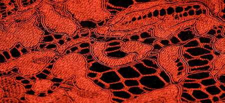 red lace fabric, delicate embossed lace fabric, scalloped on both edges. Suitable for your projects, design, etc. Texture, backgroundの写真素材