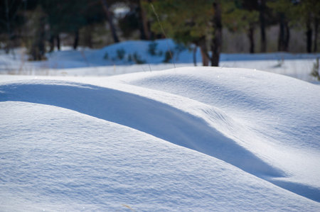 Snow covered the ground. Sunny day. Soon the warm spring sun will melt the winter snows. consists of...
