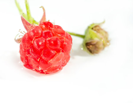 Raspberry is an edible soft fruit, akin to blackberries, consisting of a cluster of reddish-pink...