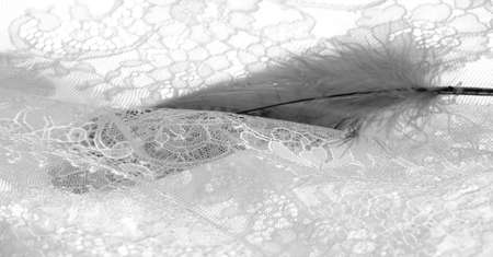 lace fabric. bird feather. white on a white background. Delicately crafted from yarn or thread, lace fabrics have historically embodied class and beauty since their inception in the 16th century.の写真素材