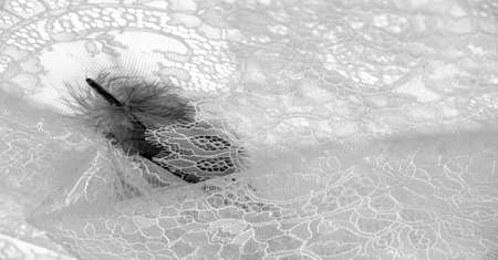 lace fabric. bird feather. white on a white background. Delicately crafted from yarn or thread, lace fabrics have historically embodied class and beauty since their inception in the 16th century.の写真素材
