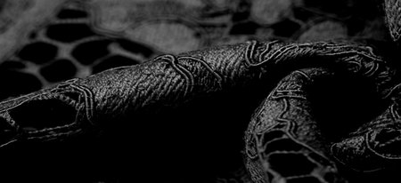 black lace fabric, delicate embossed lace fabric, scalloped on both edges. Suitable for your...