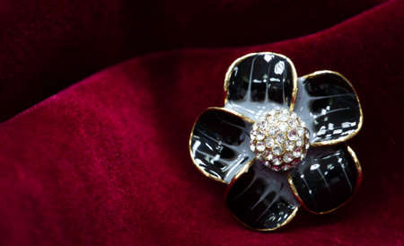 Women's brooch. Accentuate classic glamor with our edition of women's brooches. Embodying elegance, these designer brooches are detailed with crystals, logo fittings and colorful gems.の写真素材