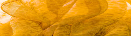 yellow silk textile fabric. Its properties differ from woven fabric in that it is more flexible and lighter in design. texture, backgroundの写真素材