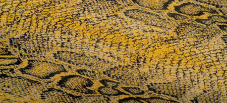 fabric with a pattern of yellow snake skin, African fabric, designer photo - safari in the country of Africa. Textureの写真素材