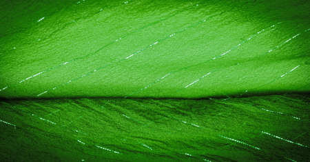 Green silk fabric with lurex. Glossy texture background, satin background, luxurious fabric, elegant pattern, colorful abstract, colorful velvet, shredded macro.の写真素材