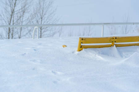 Winter photography. Sunny day. Bright yellow park bench. The river is covered with ice, covered with snow. A big tree.の写真素材