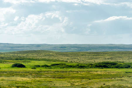 prairie, a steppe ecosystem considered part of grassland, savannah, and shrub biome according to ecologists, based on a similar temperate climate, moderate rainfall and grass composition,の写真素材