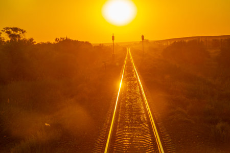 railway overpass. steppe. Railway landscape at sunrise. Summer sunny day. Sunset. dawn over the...