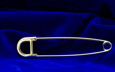 Women's brooch. Accentuate classic glamor with our edition of women's brooches. Embodying elegance, these designer brooches are detailed with crystals, logo fittings and colorful gems.の写真素材