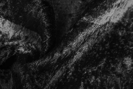 black and white velvet fabric, dense fabric of silk, cotton or nylon with a thick short pile on one...